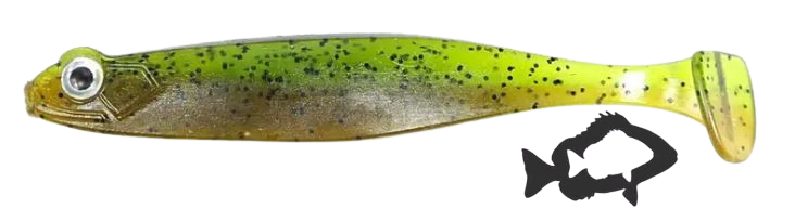 CarnaDong Shad