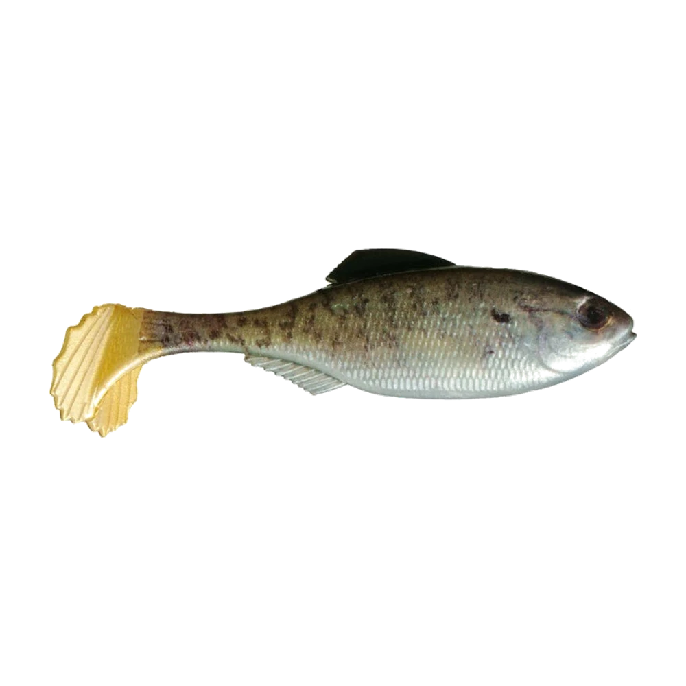 Shad souple 6th Sense Masterclass Panorama, corps plat et large à finition translucide argentée, queue paddle fine, fente ventrale visible sur la grande taille