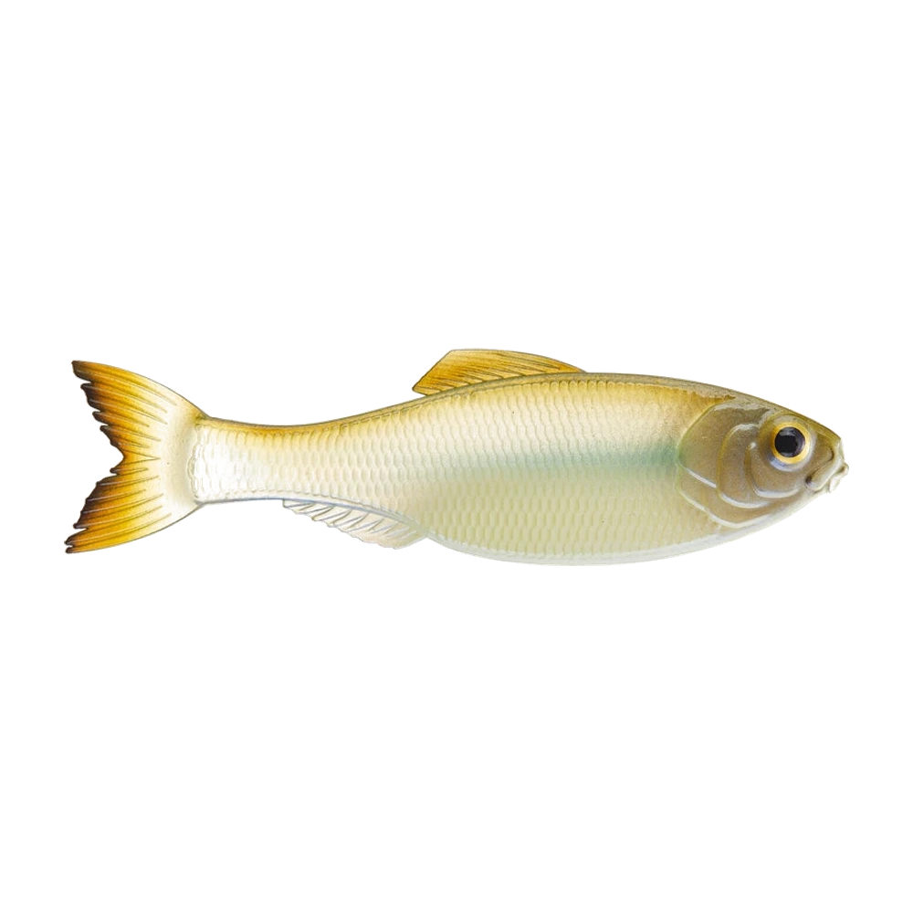 6th Sense Panorama Shad, leurre souple au profil très plat et à la finition réaliste de poisson fourrage