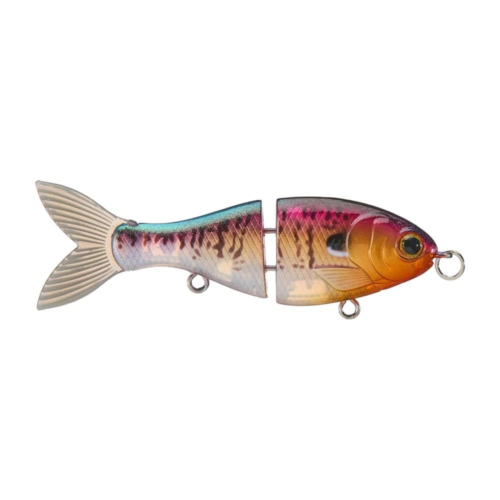 Bucca Brand BFS Trick Shad 2,5 pouces, swimbait articulé en deux sections, dos barré de rose et de violet, bande latérale turquoise irisée, tête orange doré, flancs nacrés écaillés, queue souple crème, porte-hameçons ventraux vides