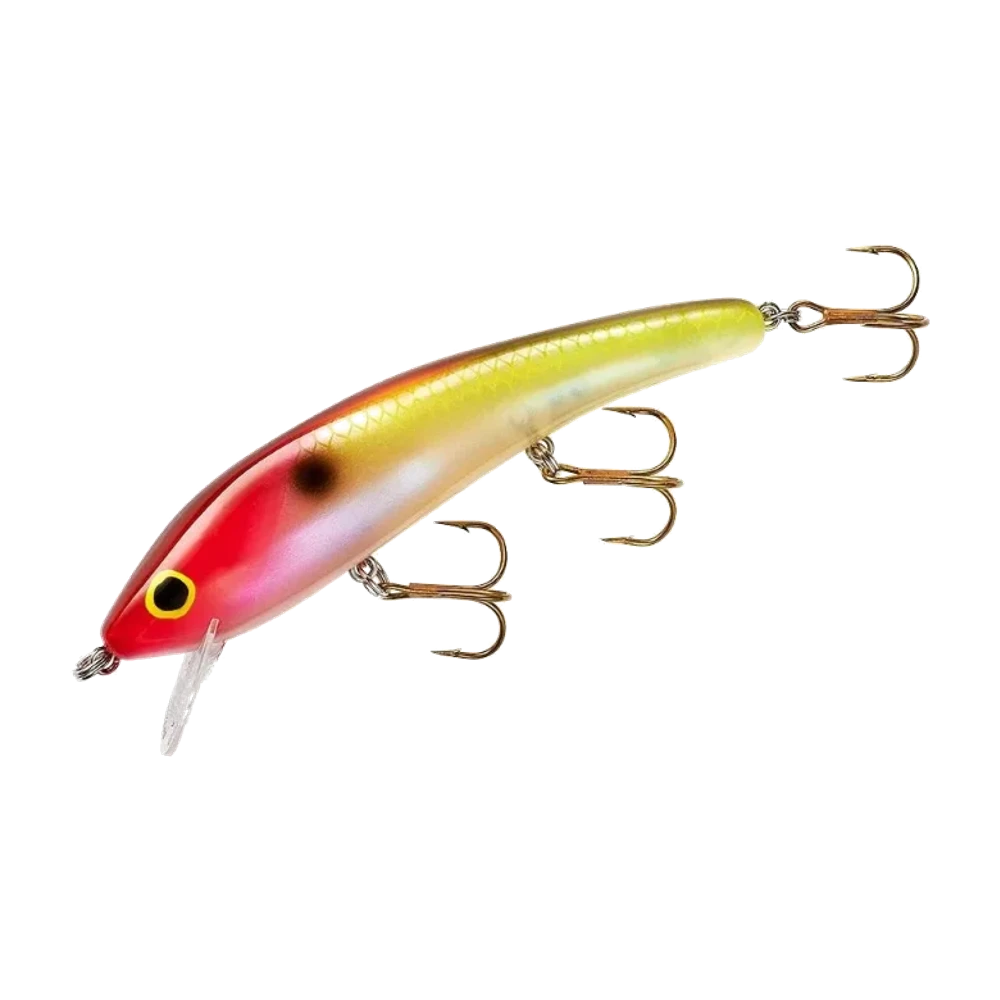 Cordell Red Fin, vue de profil
