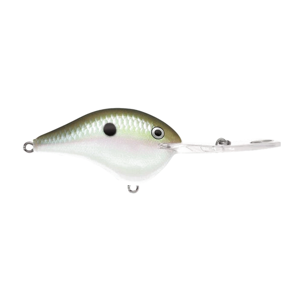 Rapala DT20 crankbait in natural roach finish, large diving lip