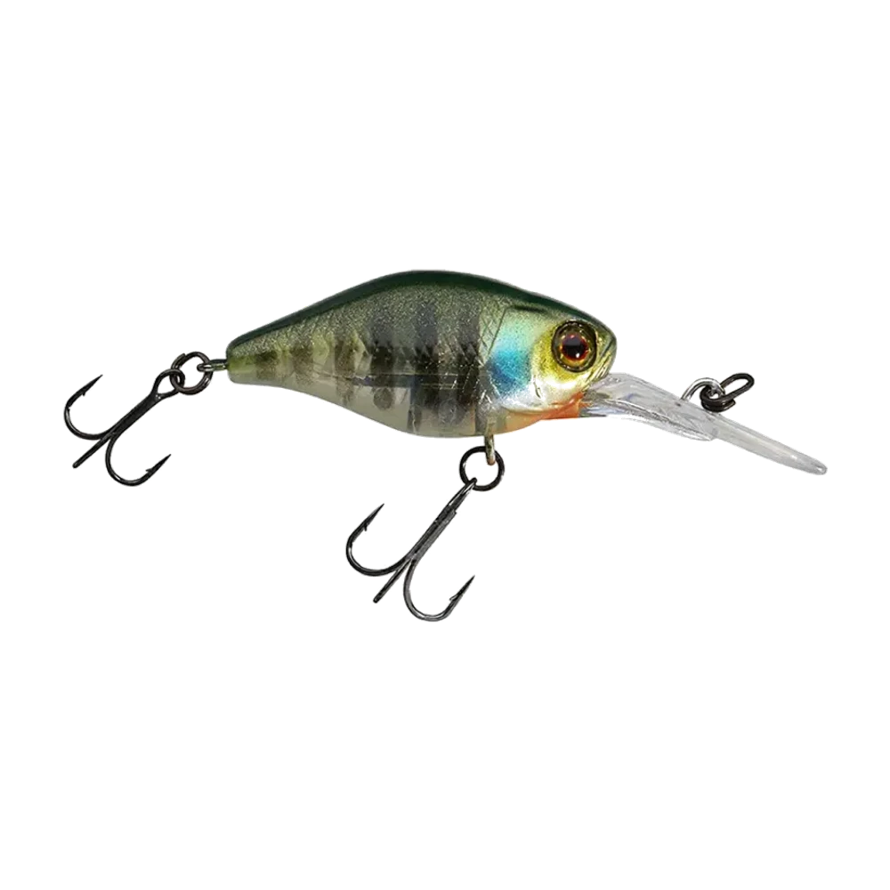Illex Diving Chubby 38, coloris perche au dos vert doré et au ventre orangé