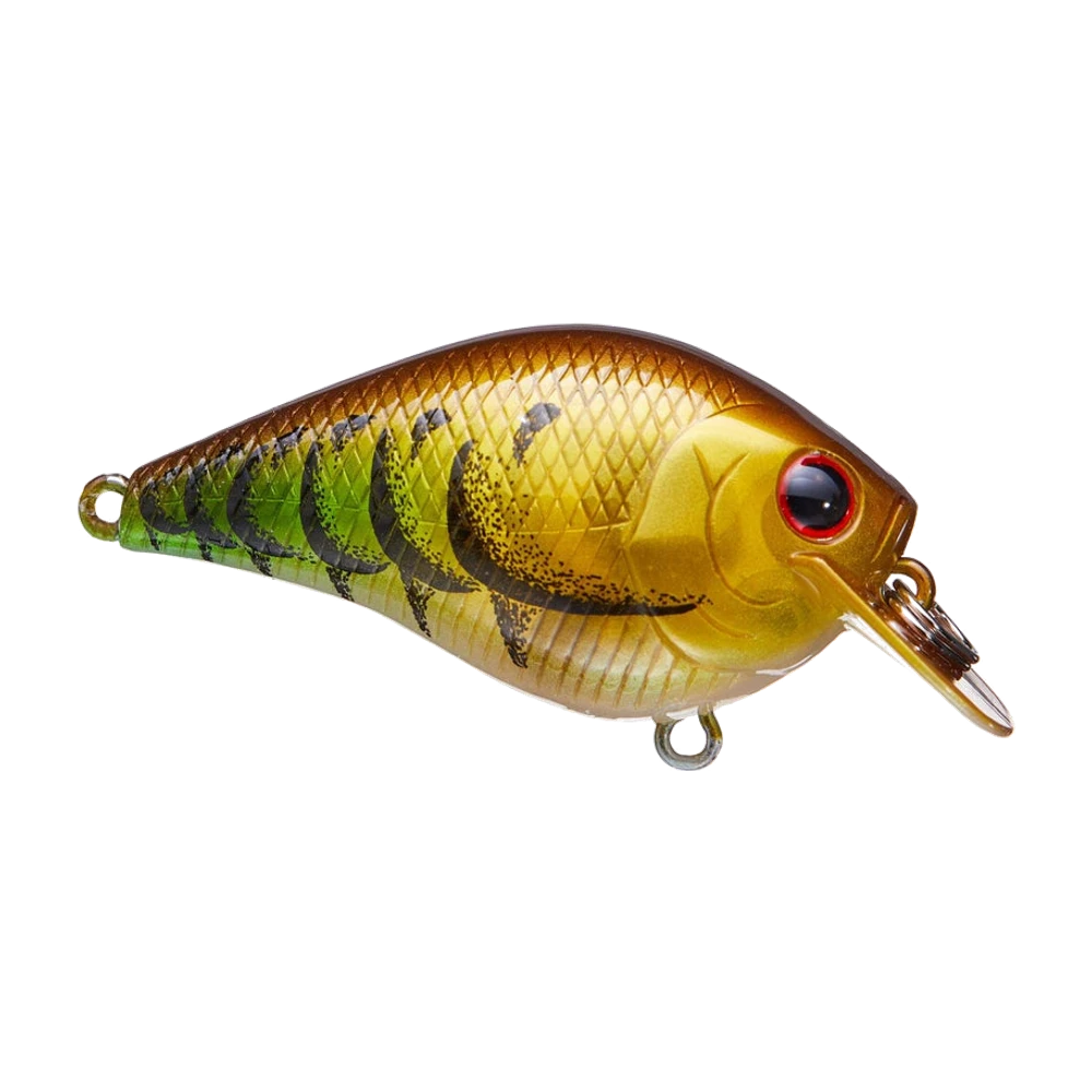 Lucky Craft Silent Fat BDS1 di profilo, corpo tozzo bruno ramato con fianchi dorati e basso fianco chartreuse barrato di nero, occhio rosso, paletta quadrata ambrata dagli angoli arrotondati, fotografato senza ami, con i portamo ventrale e caudale vuoti e solo l'anellino spezzato di attacco montato