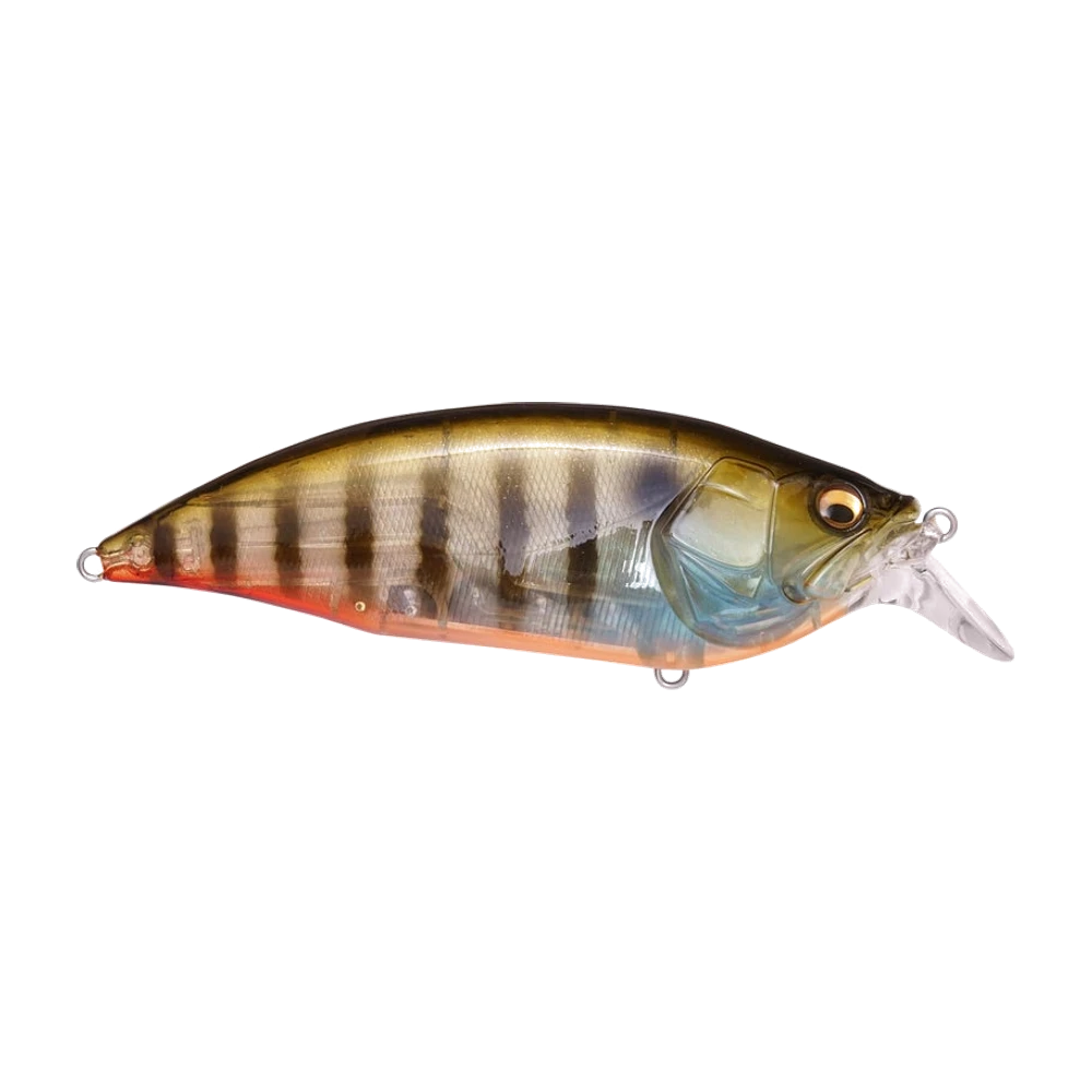 Megabass Big-M 2.0, crankbait a fianchi piatti con corpo traslucido in livrea persico sole, dorso oliva scuro, fianchi dorati barrati di bruno, gola e ventre arancioni, guancia bluastra, occhio dorato, paletta trasparente a forma di cucchiaio, anellino sul muso e attacchi ventrali senza alcuna ancoretta montata