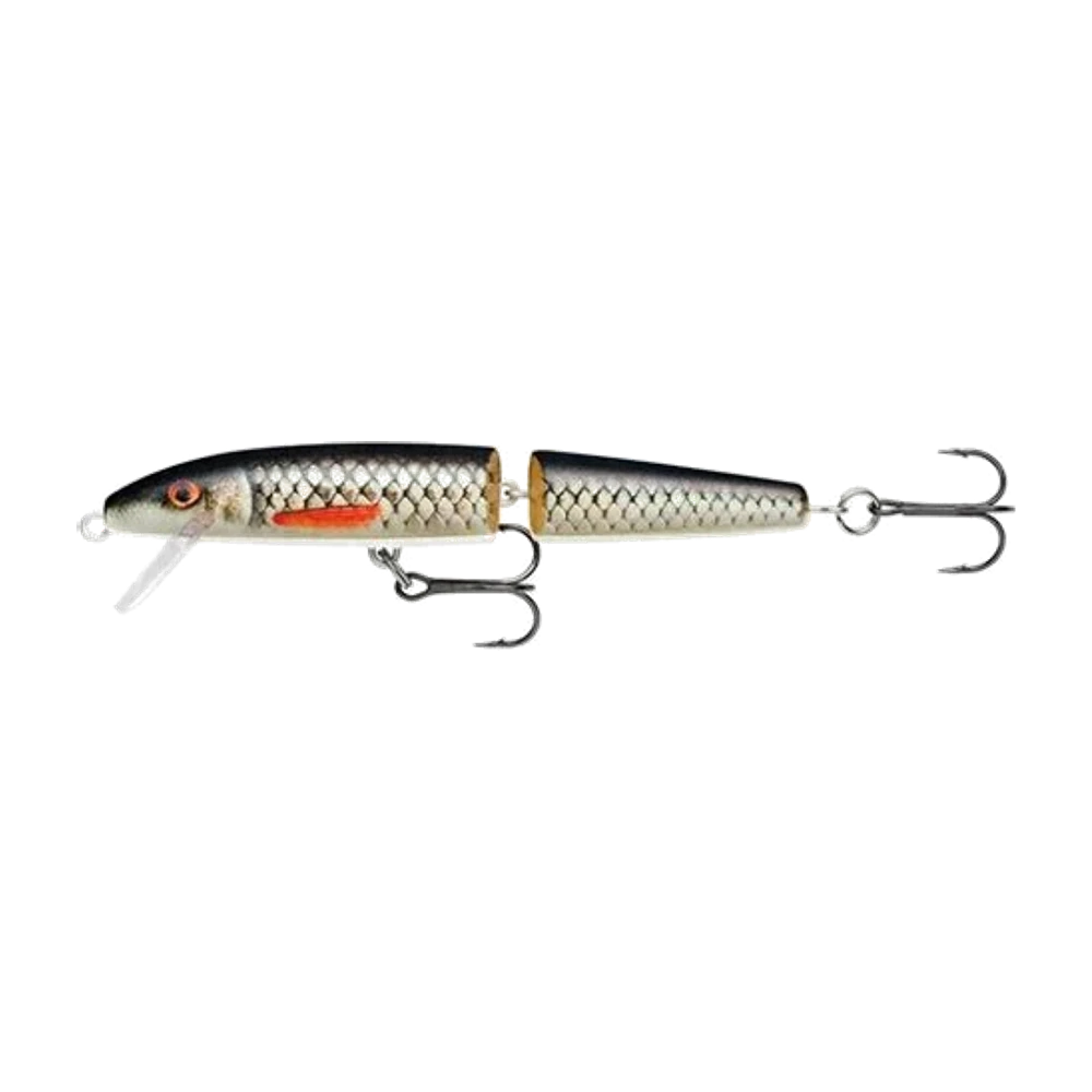 Rapala Jointed, vue de profil