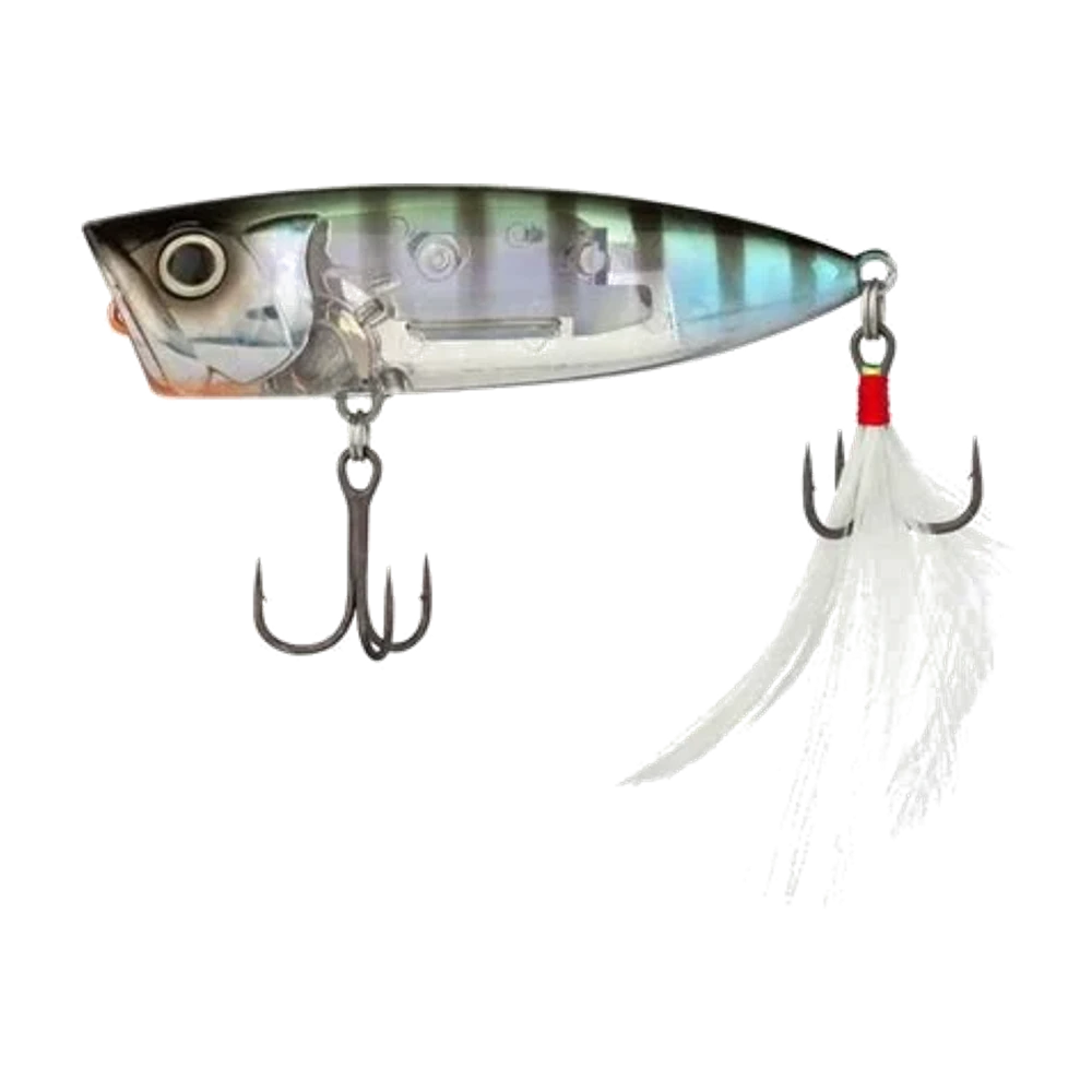 Shimano World Pop, vue de profil