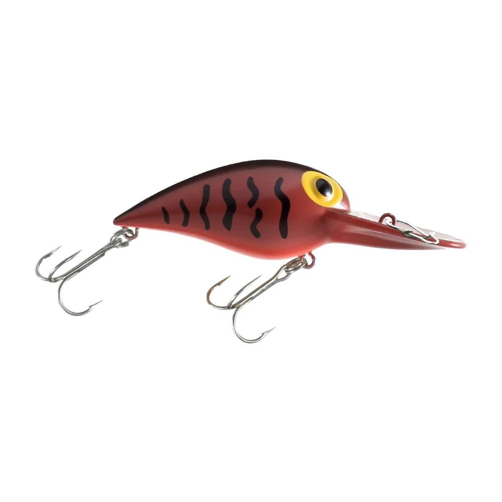 Storm Wiggle Wart, vue de profil