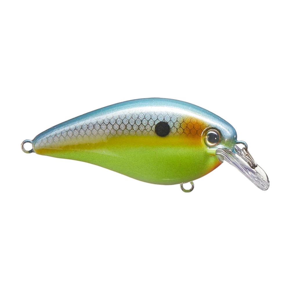 Strike King KVD 1.5 Squarebill dos bleu argenté et flancs chartreuse, crankbait à bavette carrée