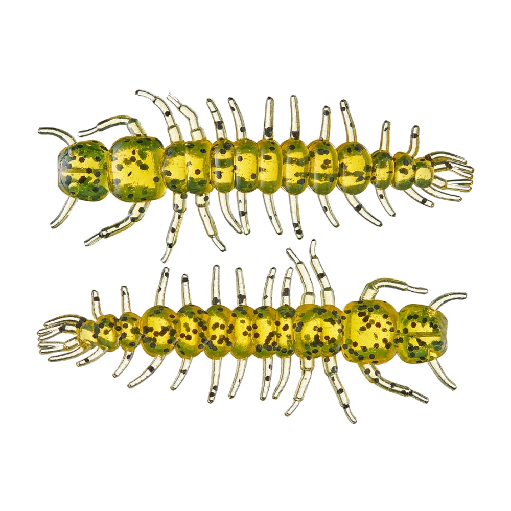 Deux Yum Hellgrammite vus de dessus, corps translucide vert et doré pailleté de noir, segments marqués, longues pattes fines sur les deux flancs et queue en éventail filamenteuse