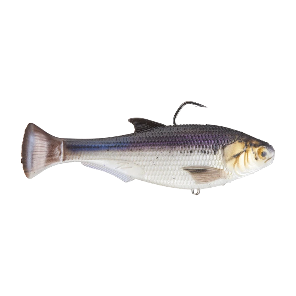 Z-Man Shadtron LT, swimbait souple imitant un gardon, dos gris-violet, ventre blanc, écailles et nageoires peintes, œil doré, hameçon simple noir sortant du dos, anneau ventral libre