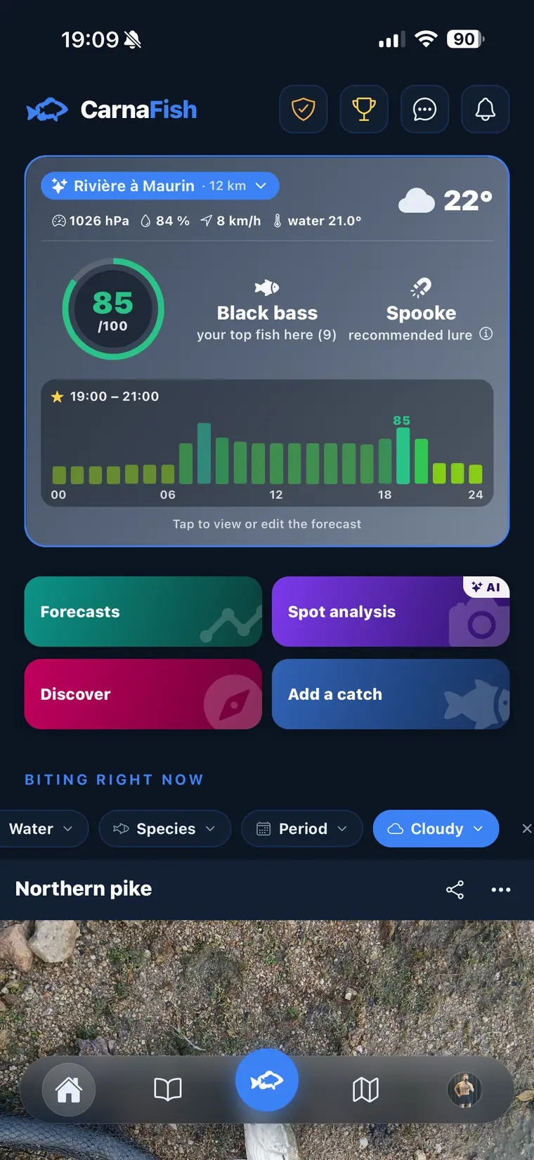 Fishing forecast in CarnaFish: score out of 100 and best window, hour by hour